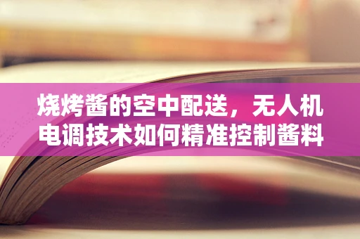 烧烤酱的空中配送，无人机电调技术如何精准控制酱料投放？