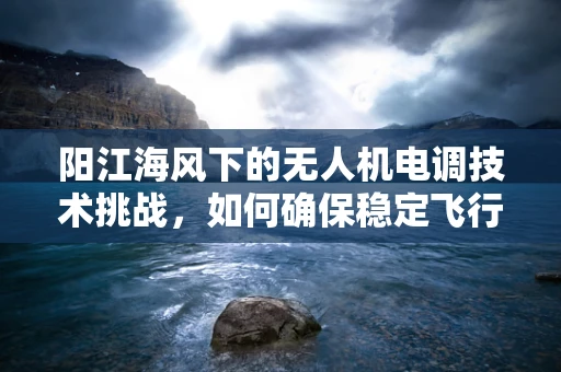 阳江海风下的无人机电调技术挑战，如何确保稳定飞行？