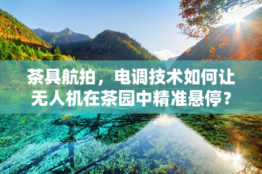 茶具航拍，电调技术如何让无人机在茶园中精准悬停？
