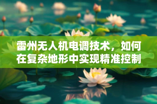 雷州无人机电调技术，如何在复杂地形中实现精准控制？