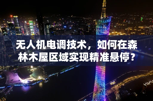 无人机电调技术，如何在森林木屋区域实现精准悬停？