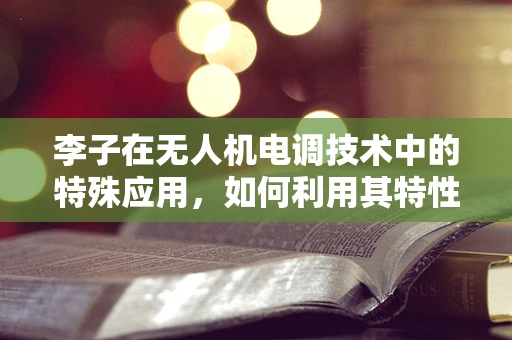 李子在无人机电调技术中的特殊应用，如何利用其特性优化飞行稳定性？