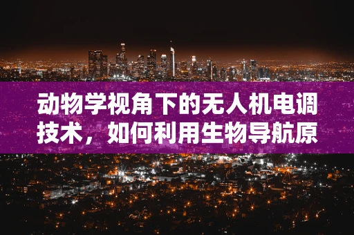 动物学视角下的无人机电调技术，如何利用生物导航原理优化飞行控制？