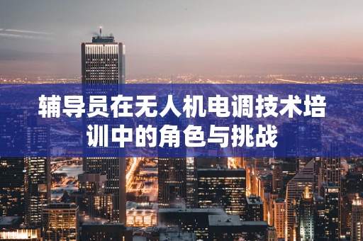 辅导员在无人机电调技术培训中的角色与挑战