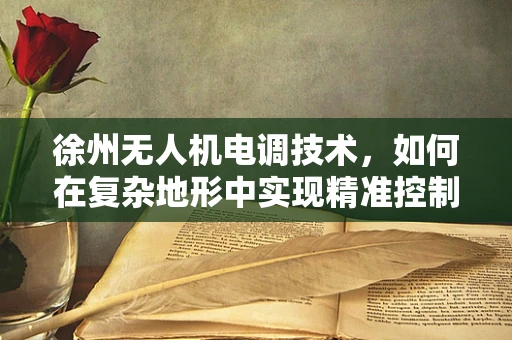 徐州无人机电调技术，如何在复杂地形中实现精准控制？