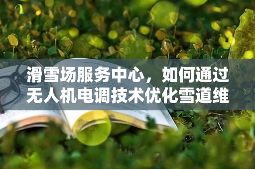 滑雪场服务中心，如何通过无人机电调技术优化雪道维护？