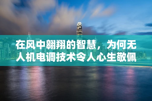 在风中翱翔的智慧，为何无人机电调技术令人心生敬佩？