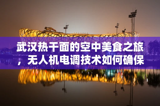 武汉热干面的空中美食之旅，无人机电调技术如何确保美味安全送达？