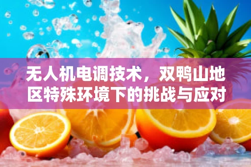 无人机电调技术，双鸭山地区特殊环境下的挑战与应对策略