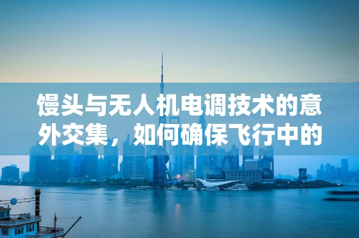 馒头与无人机电调技术的意外交集，如何确保飞行中的稳定供能？