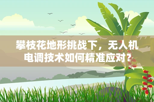 攀枝花地形挑战下，无人机电调技术如何精准应对？