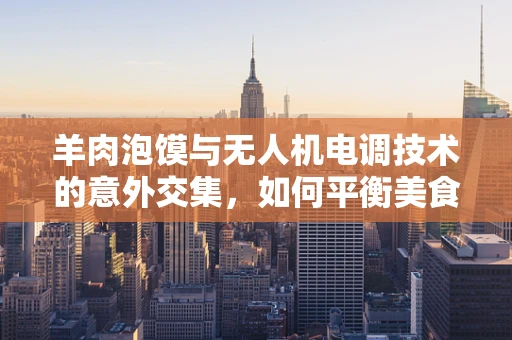 羊肉泡馍与无人机电调技术的意外交集，如何平衡美食与飞行安全？
