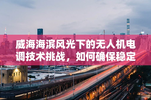 威海海滨风光下的无人机电调技术挑战，如何确保稳定飞行？