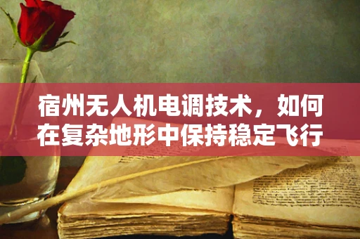 宿州无人机电调技术，如何在复杂地形中保持稳定飞行？