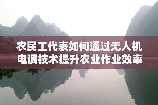 农民工代表如何通过无人机电调技术提升农业作业效率？