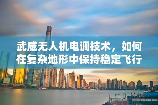 武威无人机电调技术，如何在复杂地形中保持稳定飞行？