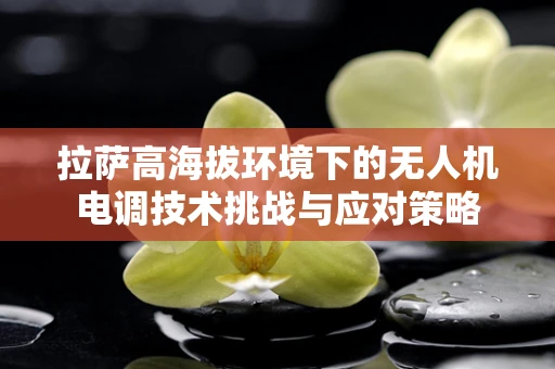 拉萨高海拔环境下的无人机电调技术挑战与应对策略