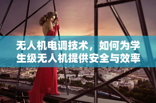 无人机电调技术，如何为学生级无人机提供安全与效率的平衡？