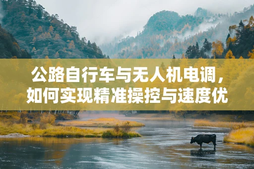 公路自行车与无人机电调，如何实现精准操控与速度优化？