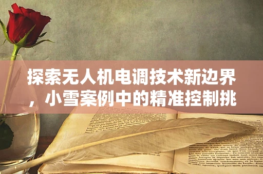 探索无人机电调技术新边界，小雪案例中的精准控制挑战