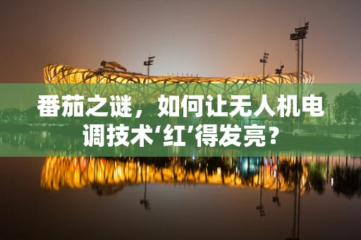 番茄之谜，如何让无人机电调技术‘红’得发亮？