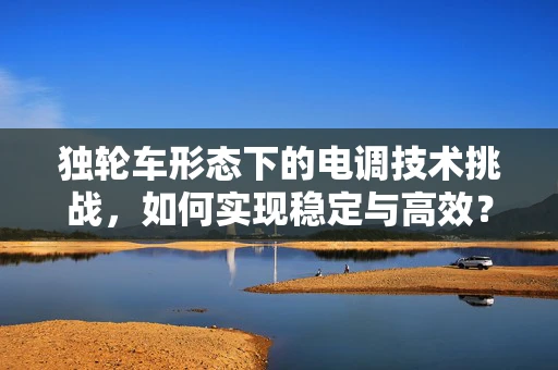 独轮车形态下的电调技术挑战，如何实现稳定与高效？