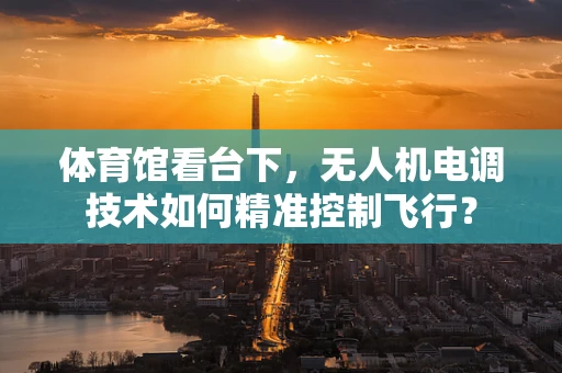 体育馆看台下，无人机电调技术如何精准控制飞行？