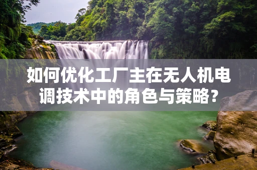 如何优化工厂主在无人机电调技术中的角色与策略？