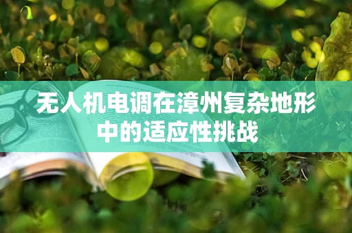 无人机电调在漳州复杂地形中的适应性挑战