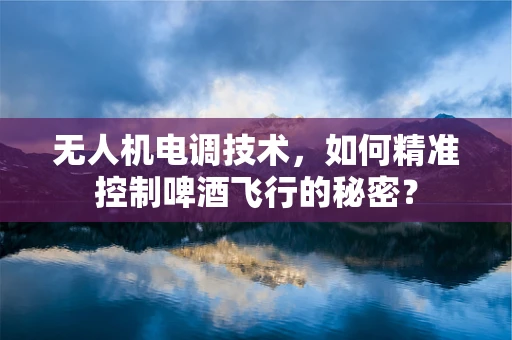 无人机电调技术，如何精准控制啤酒飞行的秘密？