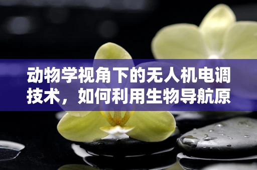 动物学视角下的无人机电调技术，如何利用生物导航原理优化无人机的自主飞行？