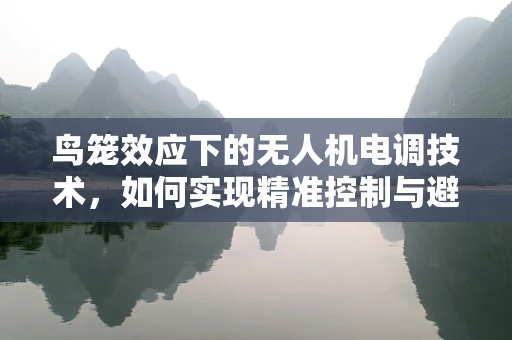 鸟笼效应下的无人机电调技术，如何实现精准控制与避障？