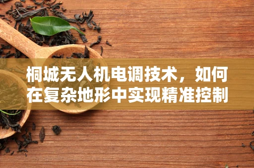 桐城无人机电调技术，如何在复杂地形中实现精准控制？