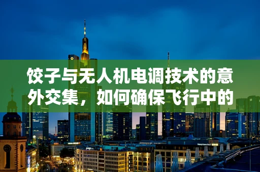 饺子与无人机电调技术的意外交集，如何确保飞行中的馅料不漏？