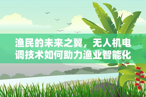 渔民的未来之翼，无人机电调技术如何助力渔业智能化？