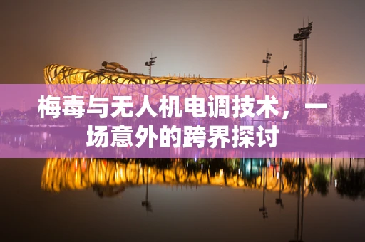 梅毒与无人机电调技术，一场意外的跨界探讨