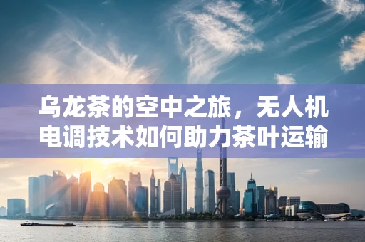 乌龙茶的空中之旅，无人机电调技术如何助力茶叶运输的革新？
