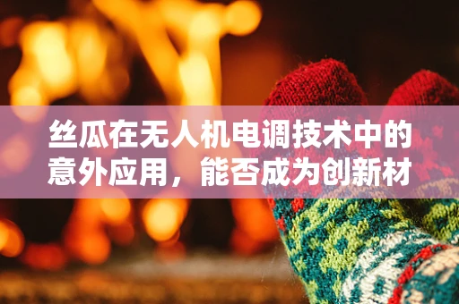 丝瓜在无人机电调技术中的意外应用，能否成为创新材料？