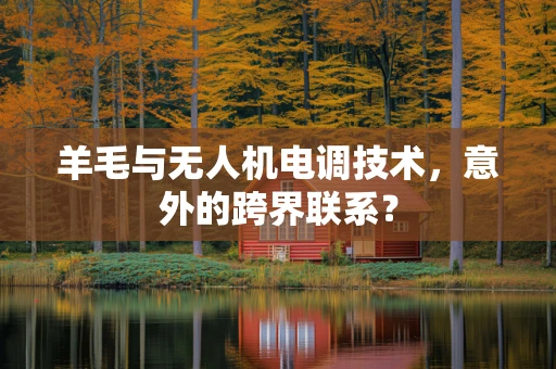 羊毛与无人机电调技术，意外的跨界联系？