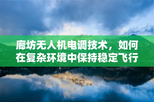 廊坊无人机电调技术，如何在复杂环境中保持稳定飞行？
