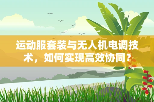 运动服套装与无人机电调技术，如何实现高效协同？