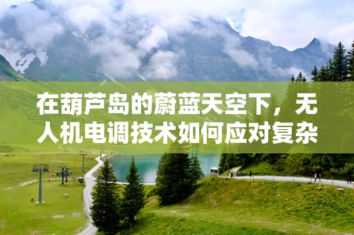 在葫芦岛的蔚蓝天空下，无人机电调技术如何应对复杂地形挑战？