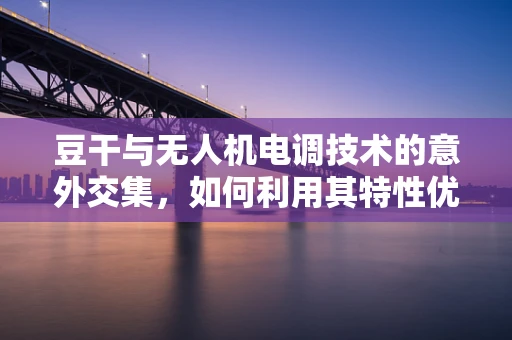 豆干与无人机电调技术的意外交集，如何利用其特性优化飞行稳定性？