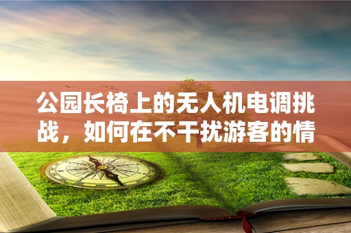 公园长椅上的无人机电调挑战，如何在不干扰游客的情况下精准着陆？