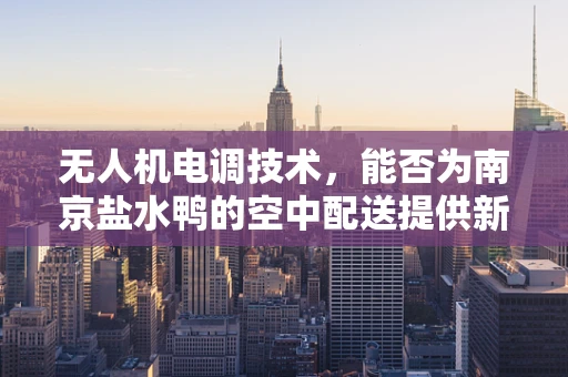 无人机电调技术，能否为南京盐水鸭的空中配送提供新思路？
