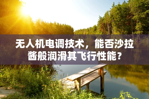 无人机电调技术，能否沙拉酱般润滑其飞行性能？