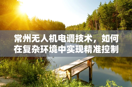 常州无人机电调技术，如何在复杂环境中实现精准控制？
