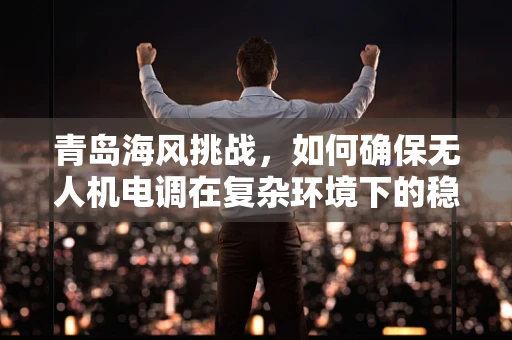 青岛海风挑战，如何确保无人机电调在复杂环境下的稳定性能？
