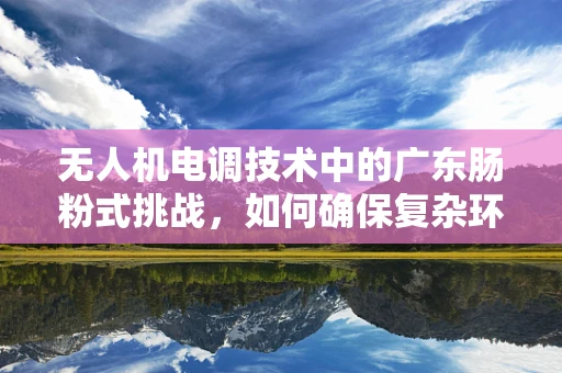 无人机电调技术中的广东肠粉式挑战，如何确保复杂环境下的稳定飞行？