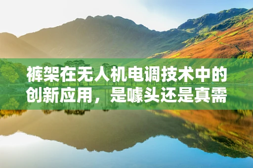 裤架在无人机电调技术中的创新应用，是噱头还是真需求？